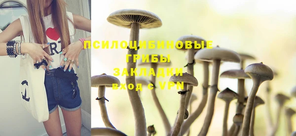 герыч Алексин