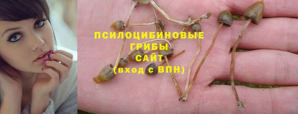 гидропоника Алзамай
