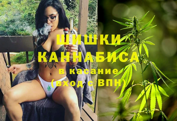 гашик Алексеевка