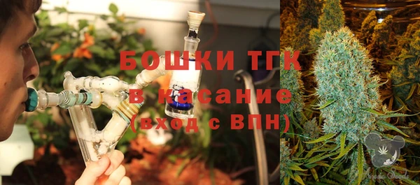 гашик Алексеевка