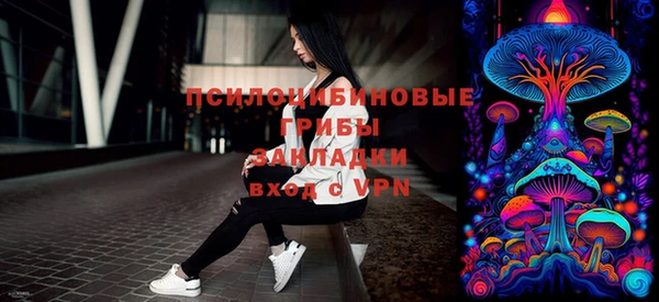 гашик Алексеевка