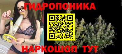 спайс Будённовск