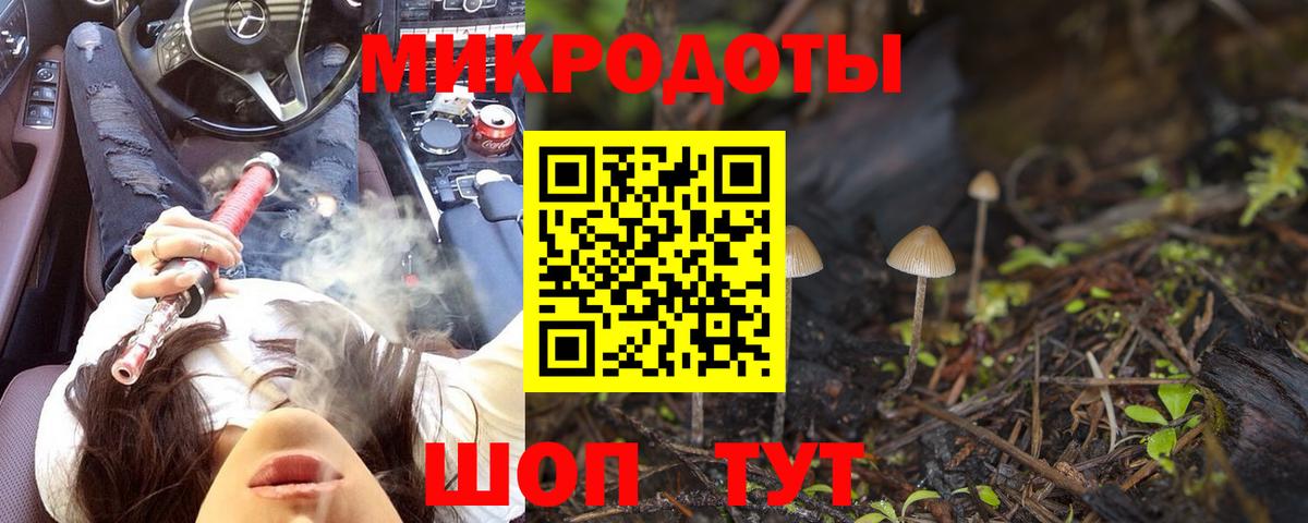 Междуреченск  Псилоцибиновые грибы Psilocybe  Вход с VPN 